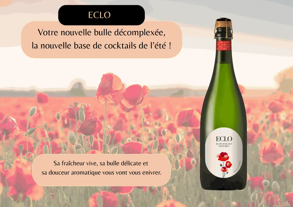 SITE WEB - ECLO.webp
