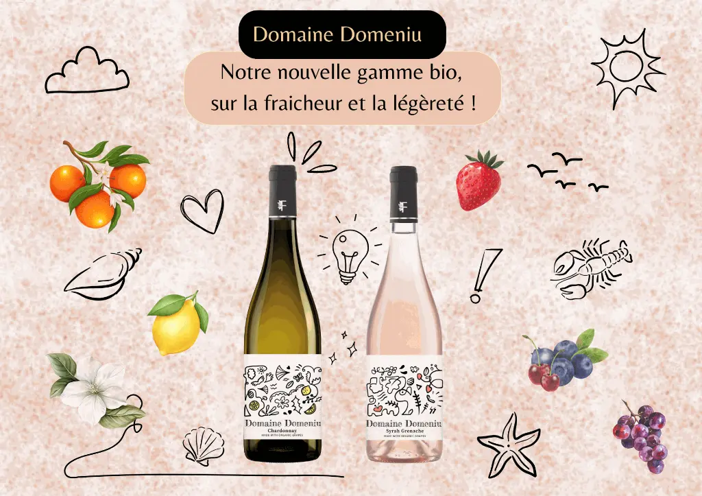 SITE WEB - DOMAINE DOMENIU (3).webp