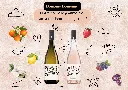 SITE WEB - DOMAINE DOMENIU (3).webp