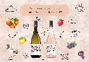 SITE WEB - DOMAINE DOMENIU (1).webp