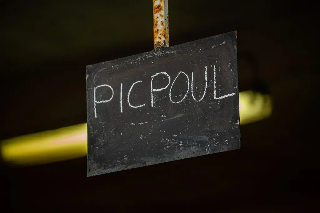 DSC_9828.webp