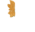 Florès Logo