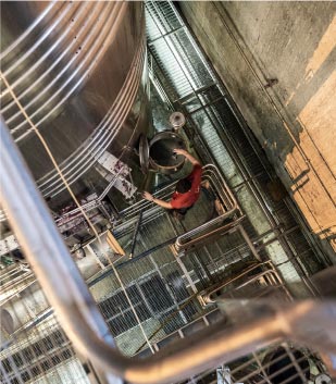 Winemaker doing a manipulation near a wine tank