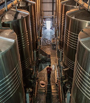 Stainless steel vinification tanks